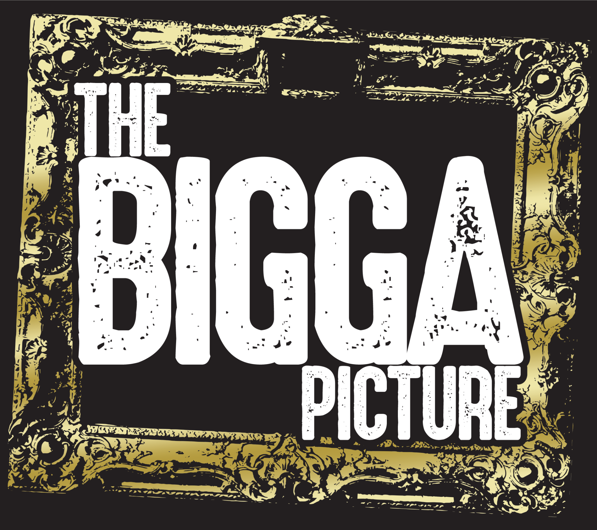 The Bigga Picture Network Logo